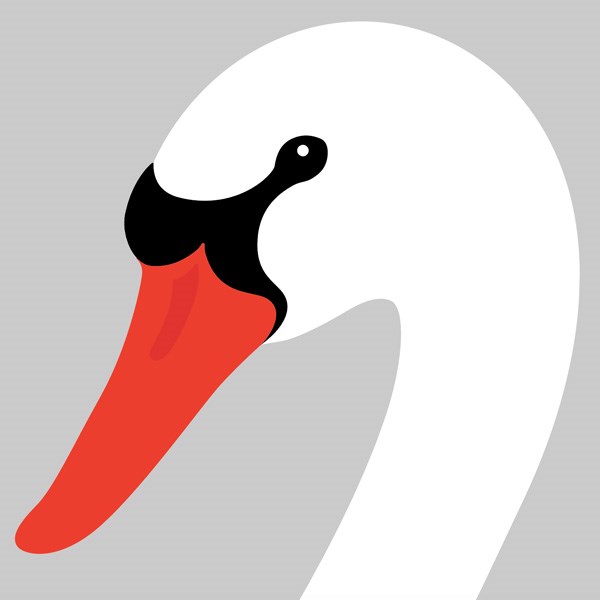 Swan print image