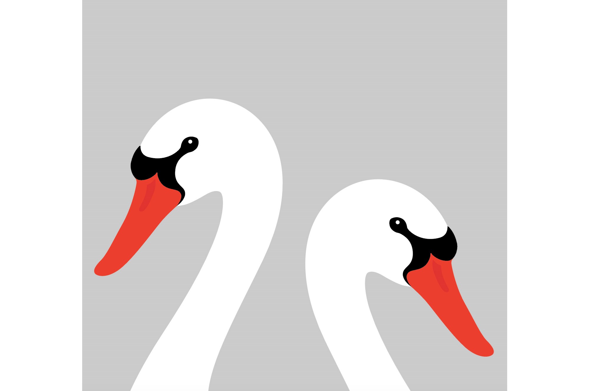 swans print image