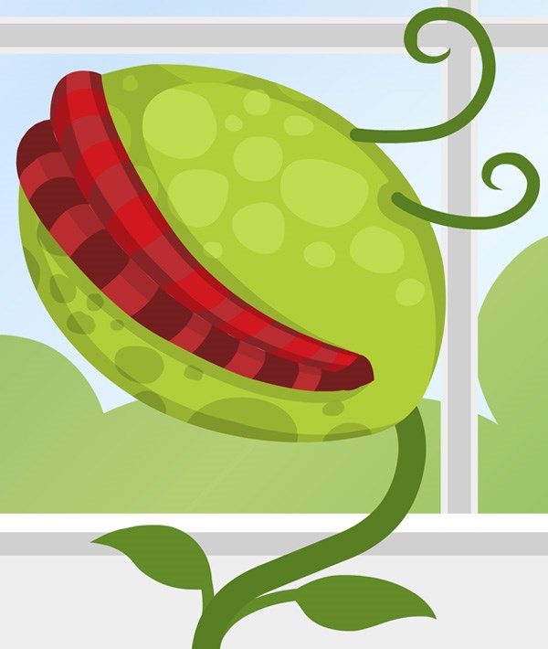 Venus flytrap image